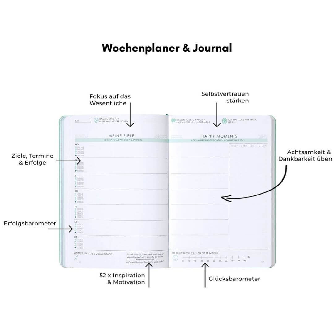 THE NEW YOU - das Buch, das dein Leben verändert