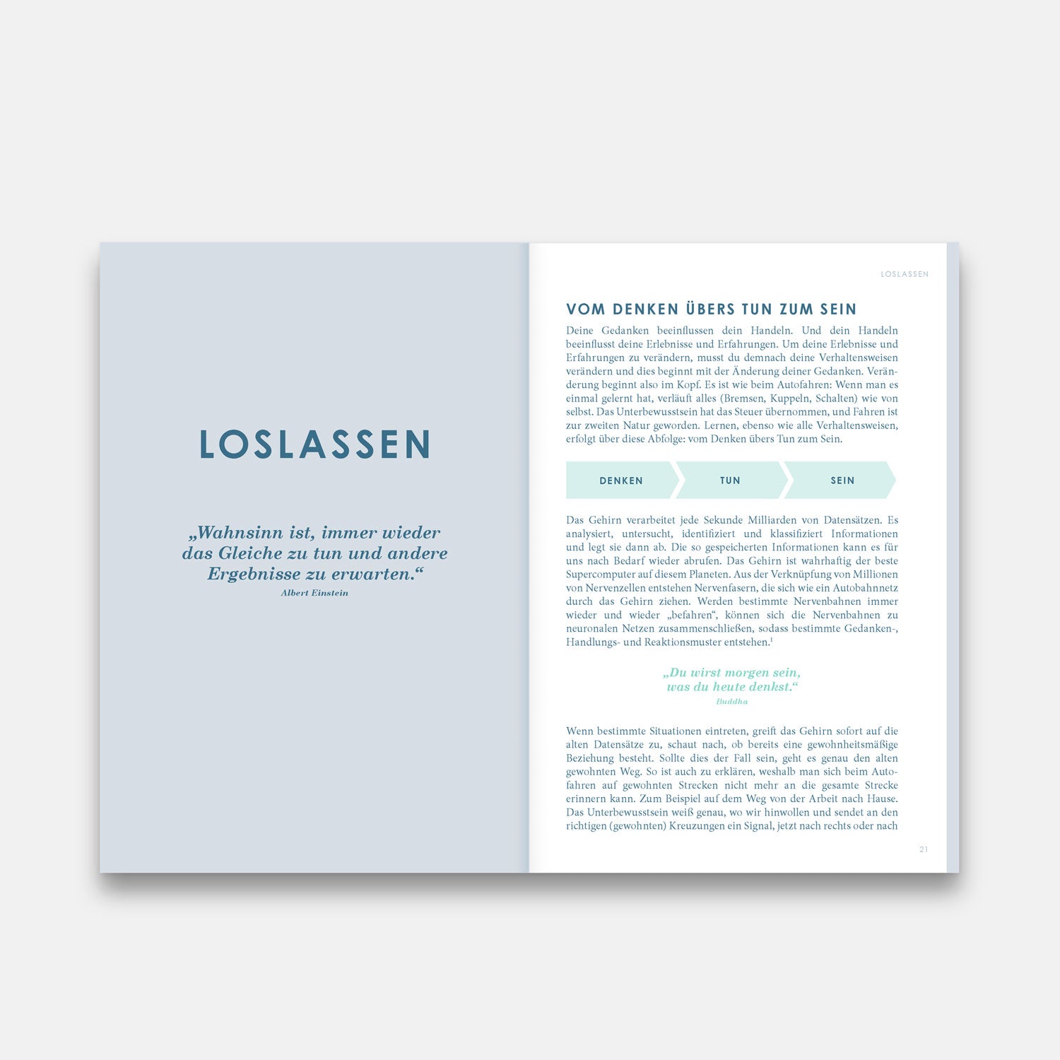 THE NEW YOU Ebook (Download PDF)