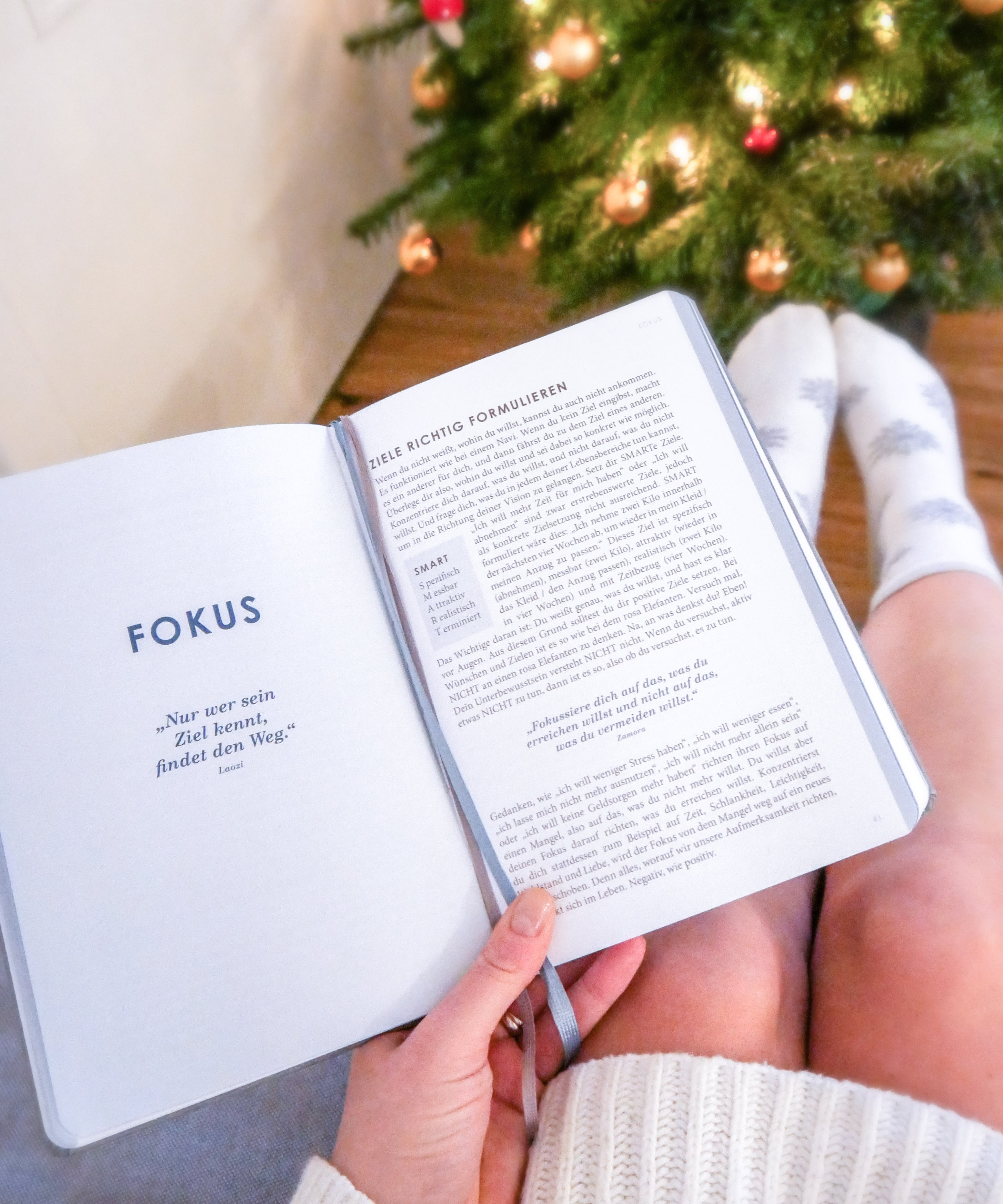 TNY_Mint_offen_Fokus_xmas.jpg