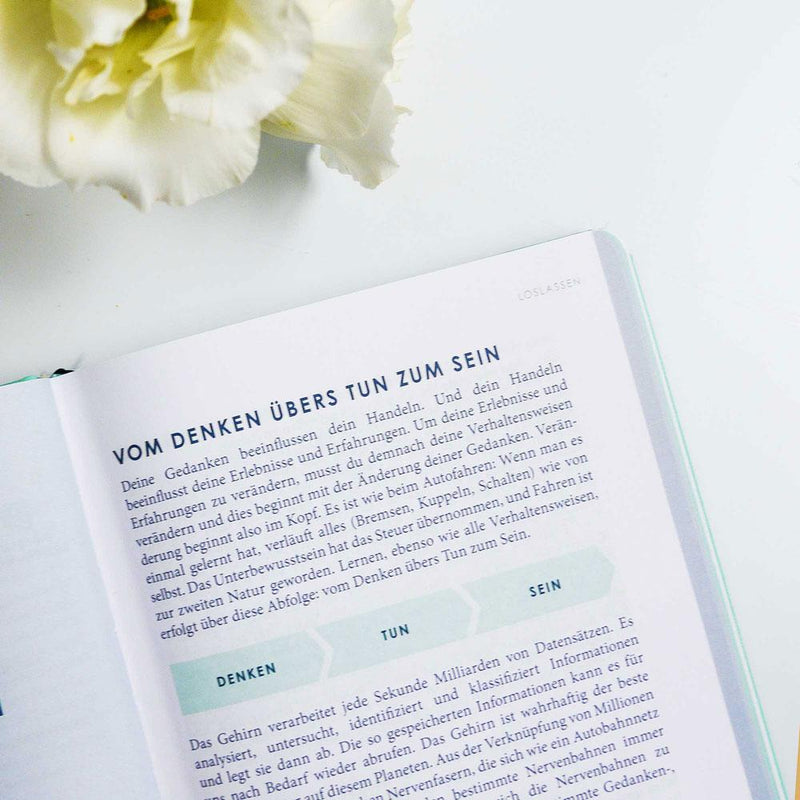 THE NEW YOU - Das Buch, das dein Leben verändert