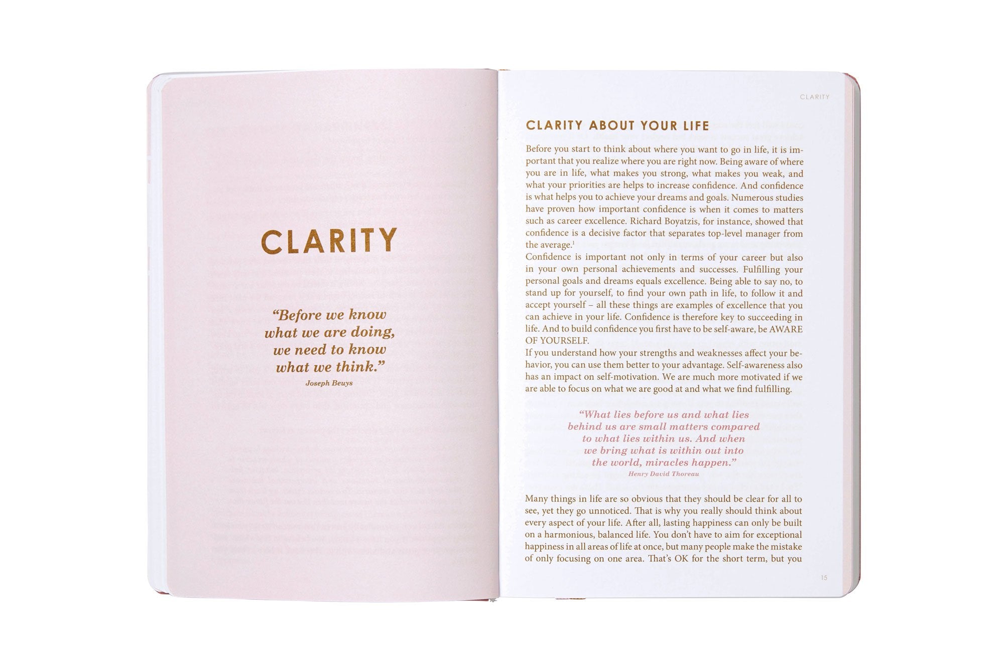 THE NEW YOU [ENGLISH] - Create the life you love